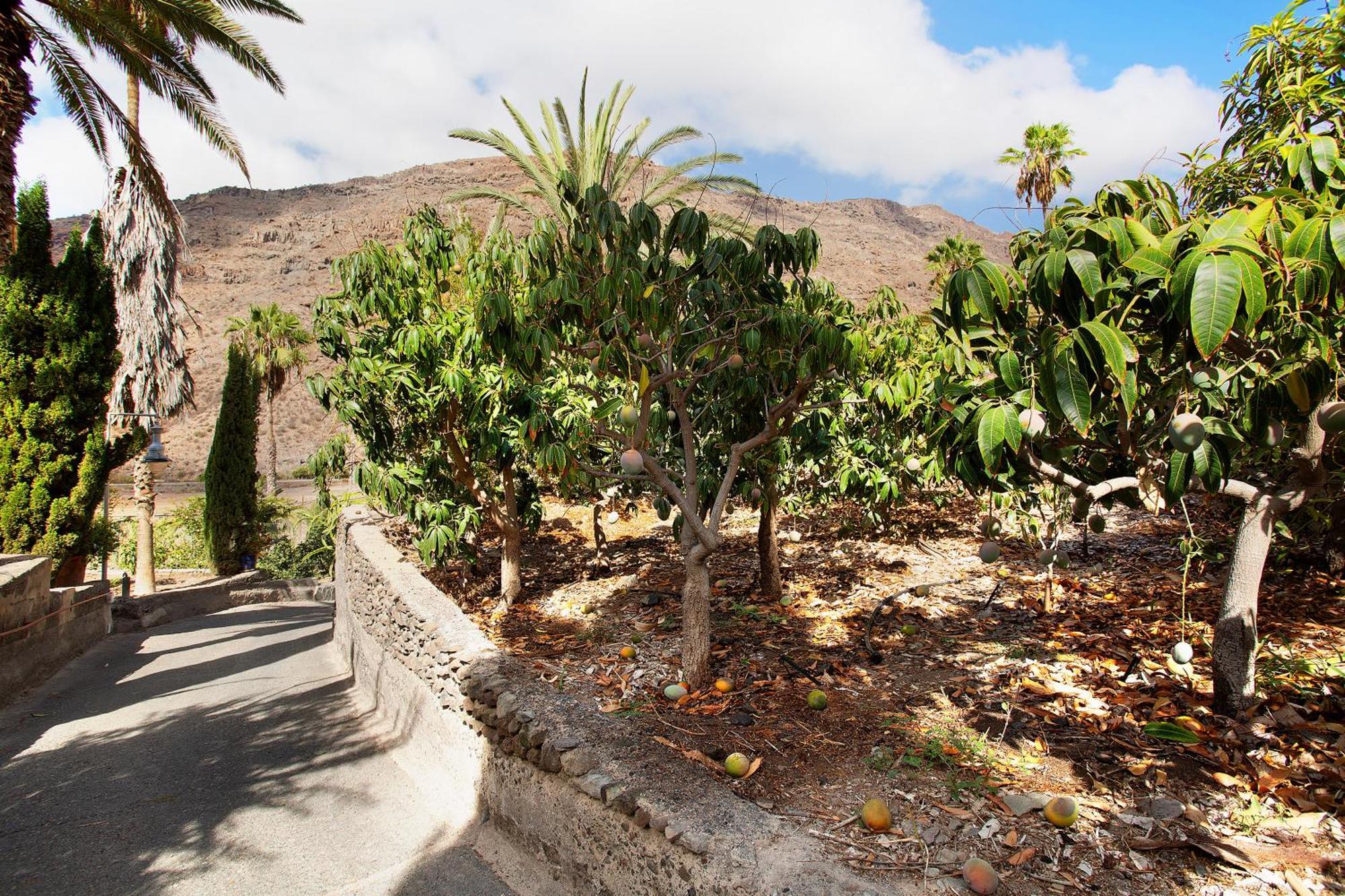 El Granero Paraiso Del Molinero Mogán Екстериор снимка